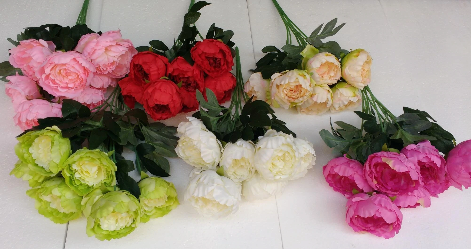 Peony x7